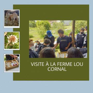 Visite d'étude à la ferme Lou Cornal Visite d'étude à la ferme Lou Cornal