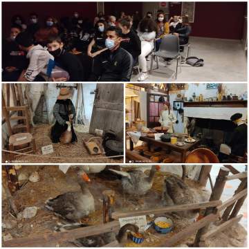 Découvrir le fonctionnement d'une entreprise