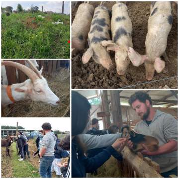 Visite d'étude à la ferme Lou Cornal